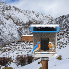 Smart Bird Feeder AI Recognition APP Camera